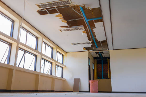 Best Water damage cleanup near me  in Braselton, GA