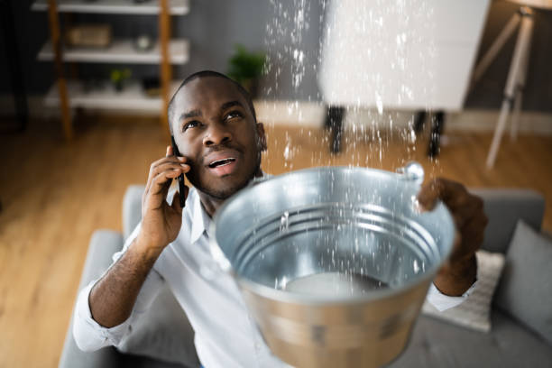 Best Flood damage cleanup  in Braselton, GA