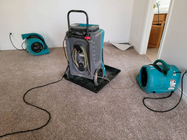  Braselton, GA Water damage restoration Pros