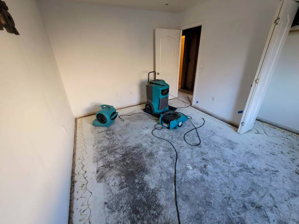 Best Fire Damage Restoration  in Braselton, GA