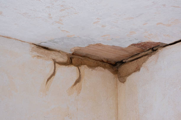 Best Fire Damage Restoration  in Braselton, GA