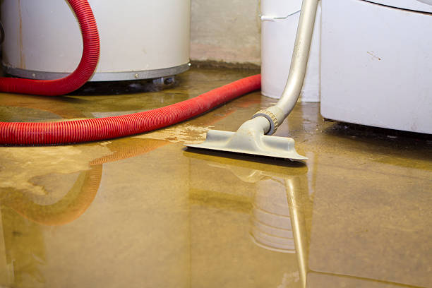 Best Carpet water damage restoration  in Braselton, GA