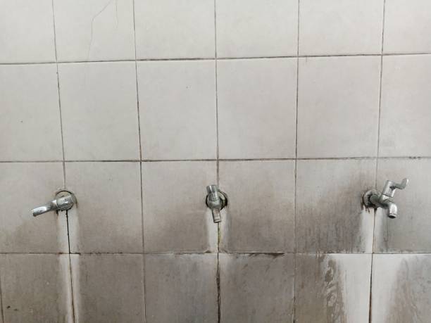 Best 24-hour water damage restoration  in Braselton, GA