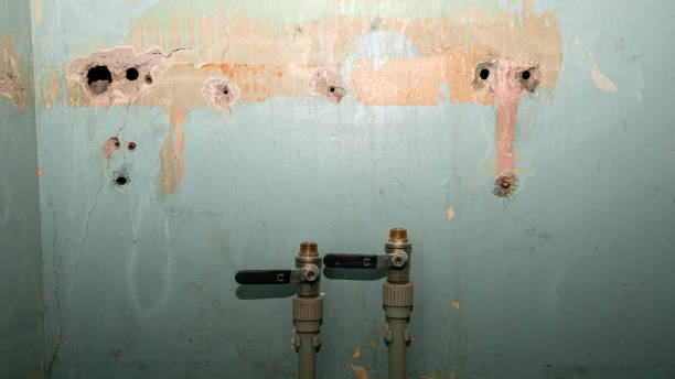 Best Ceiling water damage repair  in Braselton, GA