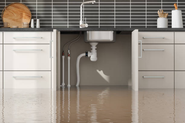 Best Flooded house restoration  in Braselton, GA