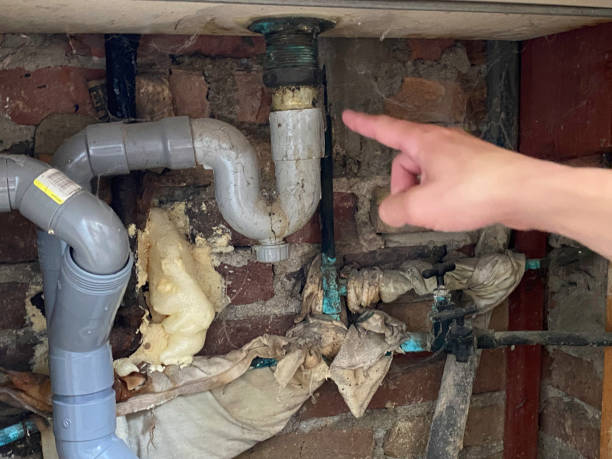 Braselton, GA Water damage restoration Pros